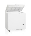 lar-morozil-nyj-laboratornyj-tefcold-se20-45-1