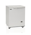 skrinja-morozil-na-laboratornij-tefcold-se10-45-1